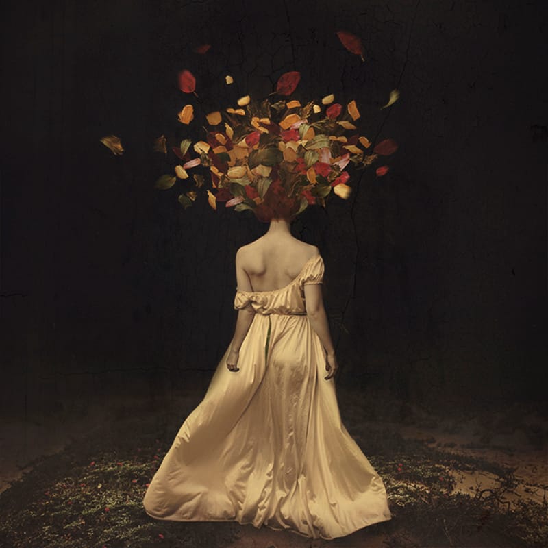 the falling of autumn darkness brooke shaden
