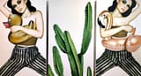 Desert Darlings (Triptych)_Anja van herle_acrylic on panel_50 x 90